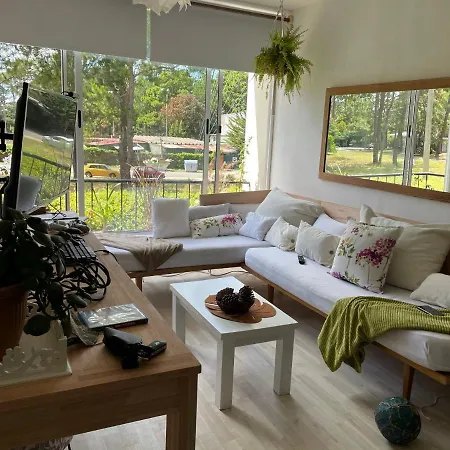 Loft En Cantegril